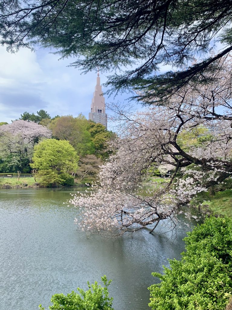 Shinjuku Gyoyen, Tokyo