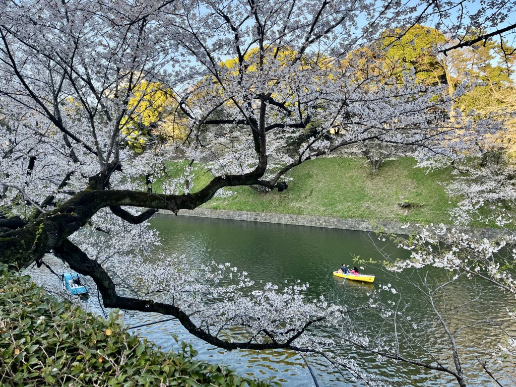 Douves du Palais impérial de Tokyo