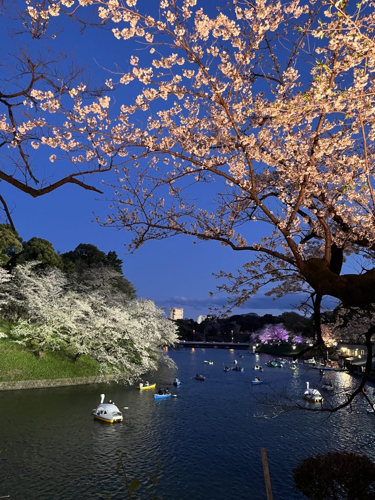 Chidorigafuchi boat pier, Tokyo