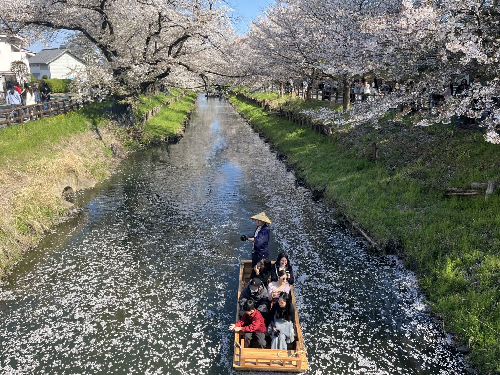 Shigashi river, Kawagoe